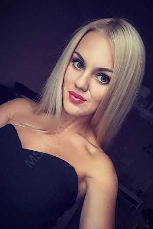 Роза, 89049531900