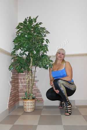 Катя, 89856746504