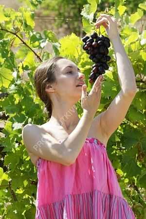 Виктория, 89310096115