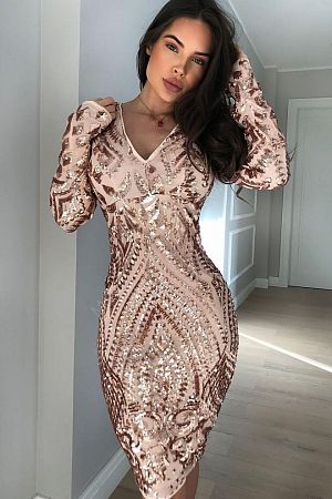 Лиса, 89380870885