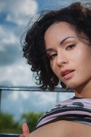 Роза, 89310096115