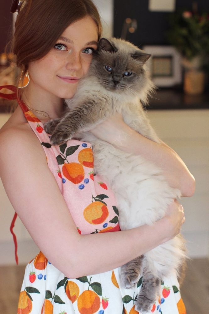 Проститутки