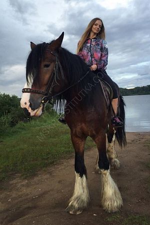 Анна, 89585409937