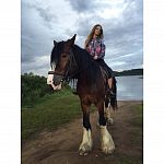 Проститутки Москвы